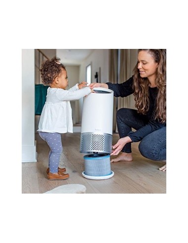 FILTRO CARBONO LEITZ PURIFICADOR AIRE MED.Z-2000/Z-2500 ALERGIAS GRIP
