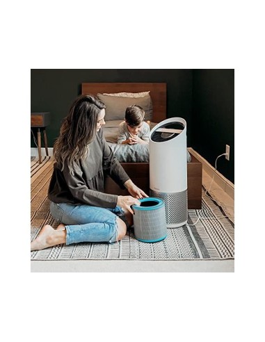FILTRO LEITZ PURIFICADOR AIRE GR.Z-3000/Z-3500 ALERGIAS GRIPE