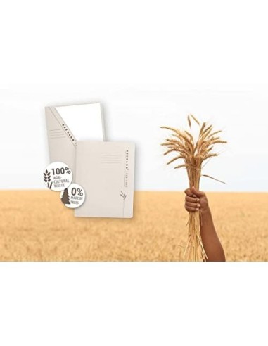 SUBCARPETA CARTULINA TARIFOLD ECO. 226 G/M2 A4 BOLSA FRONTAL PK.0 UD.