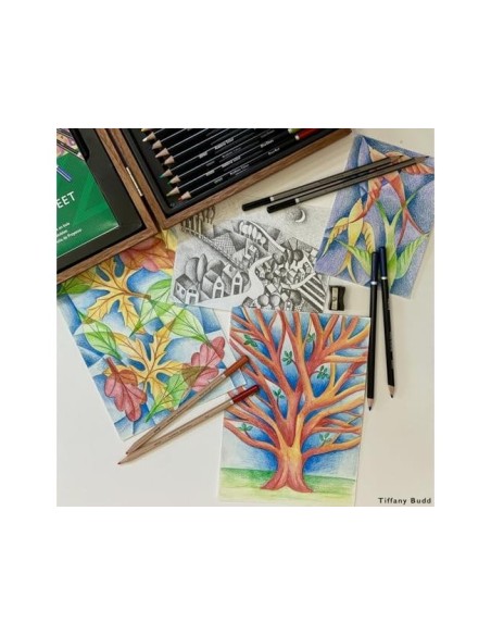 ESTUCHE PINTURA DERWENT ACADEMY MADERA LAPICES 35 PIEZAS