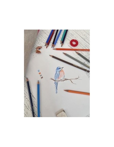 LAPICES STABILO ACUARELABLES ORIGINAL ARTY  METALICO 24 SURT.