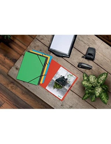 CARPETA LEITZ RECYCLE GOMAS A4 CARTON 100% VE.