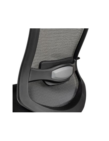 SILLA RD DIRECCION COMP. 24 HORAS B/REG. RESP. MALLA ASIENTO TELA NG.