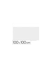 PIZARRA BL.ROCADA SKINWHITEBOARD PRO LACADA MAG. 100X100CM 2 MODULOS 2