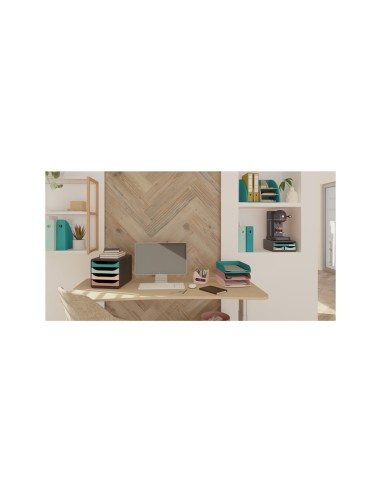 ORGANIZADOR EXACOMPTA SKANDI NUDE 155X119X109MM