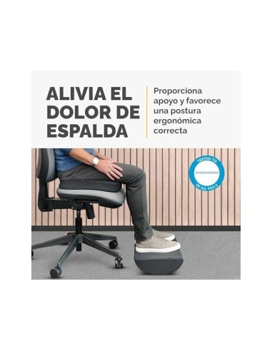 REPOSAPIES FELLOWES BREYTA AJUSTABLE ALTURA 100% 450X310X100MM