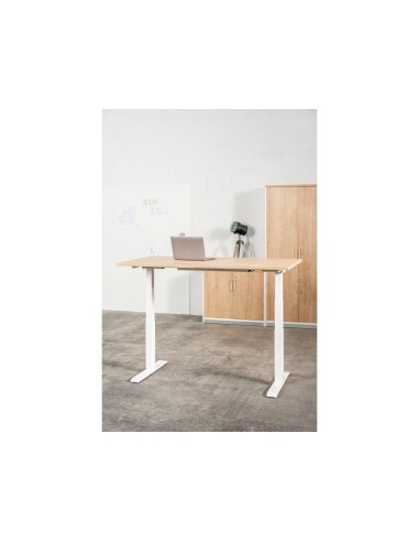 MESA ROCADA DOBLE REG. ALTURA ELECTRICAMENTE 180X163 CM REG.BL./ HAYA