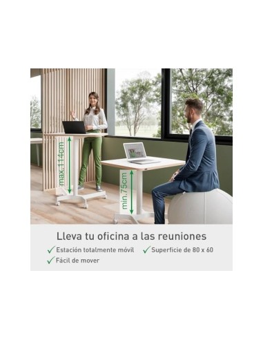 MESA LEITZ ERGO REG.EN ALTURA NEUMATICA TABLERO 80X60 CM 4 RUEDAS BL.