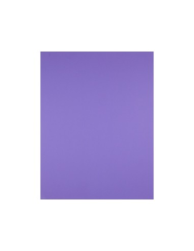 CARTULINA LIDERPAPEL 50X65 180 GR PURPURA PAQUETE 25