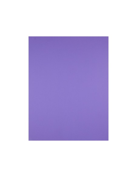 CARTULINA LIDERPAPEL 50X65 180 GR PURPURA PAQUETE 25