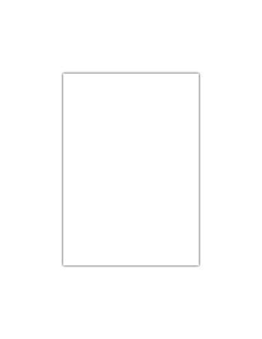 CARTULINA LIDERPAPEL 50X65 CM 180G/M2 BLANCO PAQUETE DE 25