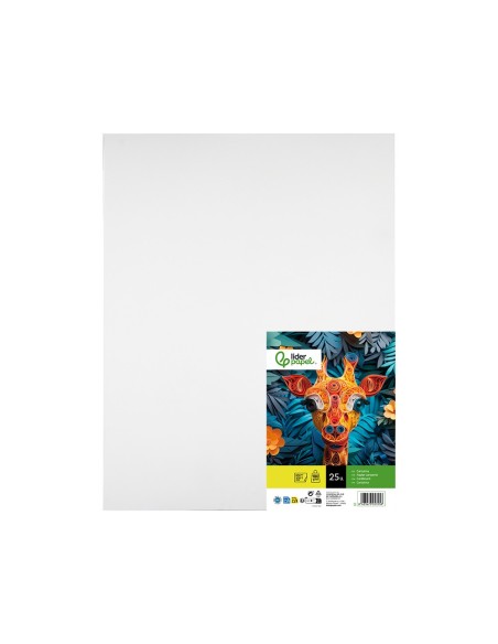 CARTULINA LIDERPAPEL 50X65 CM 180G/M2 BLANCO PAQUETE DE 25