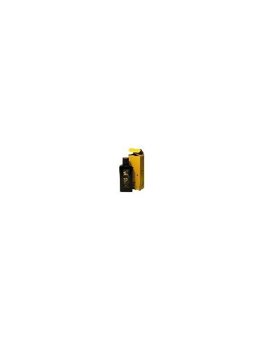 TINTA CHINA ARTIST NEGRA FRASCO 200 ML