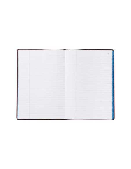 LIBRO MIQUELRIUS FL.100 H. ACTAS