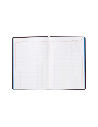 LIBRO MIQUELRIUS FL.100 H. CAJA ENTRADA Y SALIDA