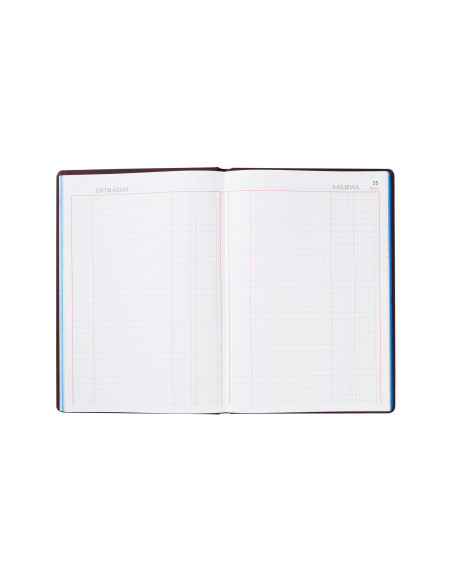 LIBRO MIQUELRIUS FL.100 H. CAJA ENTRADA Y SALIDA