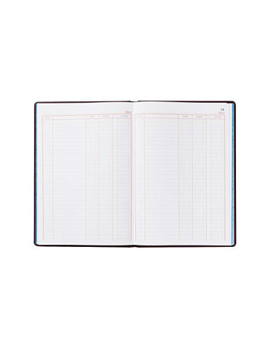 LIBRO MIQUELRIUS FL.100 H. CUENTAS CORRIENTES DEBE HABER Y SALDO