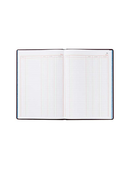 LIBRO MIQUELRIUS FL.100 H. CUENTAS CORRIENTES DEBE HABER Y SALDO