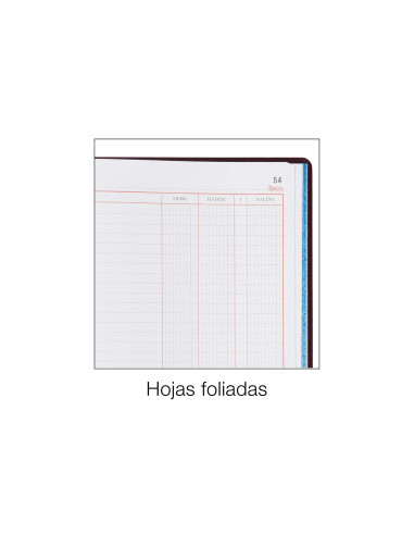 LIBRO MIQUELRIUS FL.100 H. CUENTAS CORRIENTES DEBE HABER Y SALDO