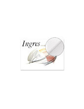 PAPEL INGRES 50X70 BLANCO 108 GR 2