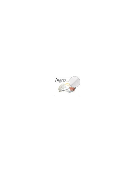 PAPEL INGRES 50X70 BLANCO 108 GR
