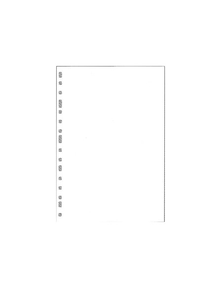 RECAMBIO MULTIFIN 3002 LISO -BLANCO