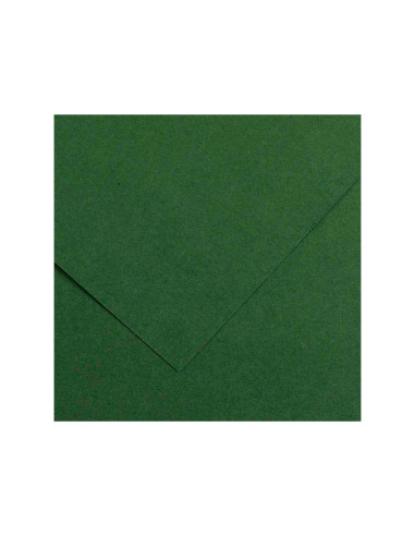 CARTULINA GUARRO VER AMAZONA-50X65 CM 185 GR
