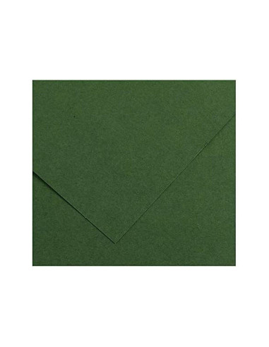 CARTULINA GUARRO VER AMAZONA-50X65 CM 185 GR