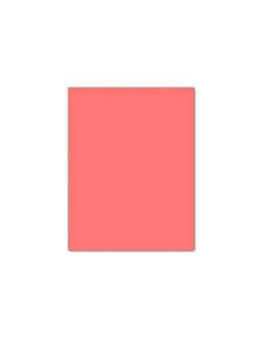 CARTULINA GUARRO ROSA 50X65 CM 185 GR