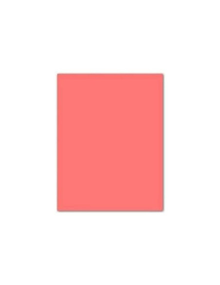 CARTULINA GUARRO ROSA 50X65 CM 185 GR