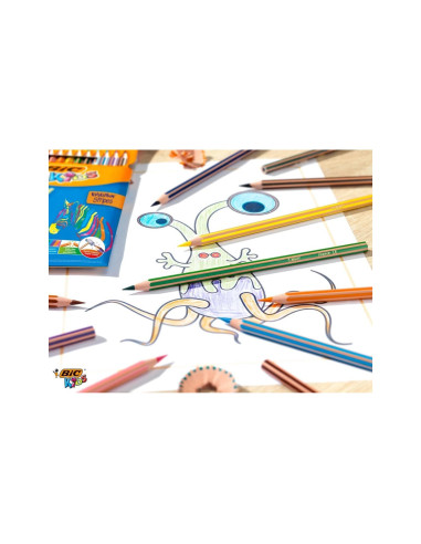 LAPICES COLORES BIC EVOLUTION STRIPES C.24 SURT.