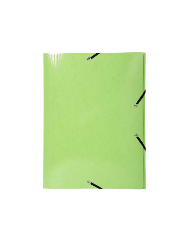 CARPETA GOMAS EXACOMPTA A3 CARTON 3 SOLAPAS COL.SURT.