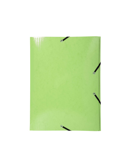 CARPETA GOMAS EXACOMPTA A3 CARTON 3 SOLAPAS COL.SURT.