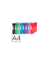 CARPETA PROYECTO EXACOMPTA CARTON LUSTRADO PLAST.A4 60MM SURT. 2