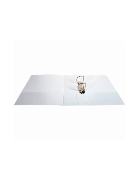 CARPETA EXACOMPTA 2 ANILLAS 60MM A4+ CARTON FORRADO PP. PERSO.3 BOL.