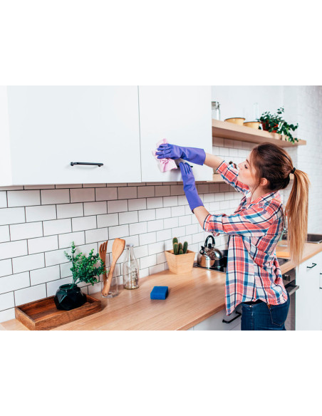 LIMPIADOR DESINFECTANTE SANYTOL COCINAS  PULVERIZADOR BOTE 750 ML