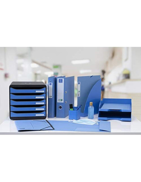 FICHERO CAJONES EXACOMPTA BIG-BOX CLEAN SAFE 5 CAJONES AZ.