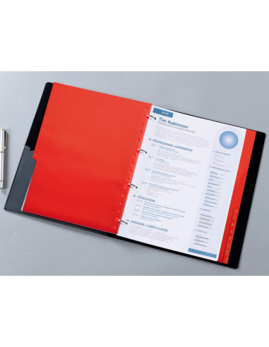 SEP.ALFABETICO PLASTICO A-Z 4º