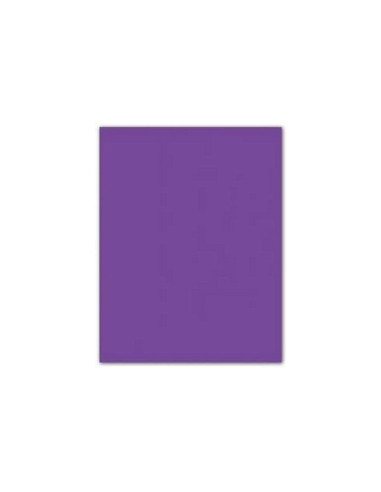 CARTULINA GUARRO VIOLETA 50X65 CM 185 GR