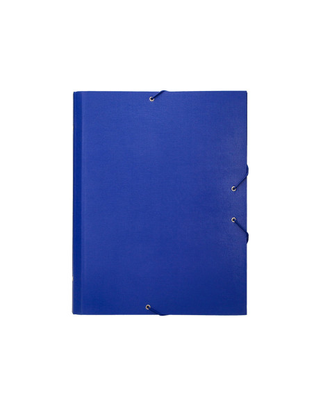 CARPETA CLASIF.A C.FORRADO SOLAPA AZUL 12 DEPARTAMENTOS