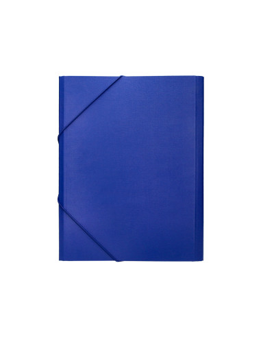 CARPETA CLASIF.A C.FORRADO SOLAPA AZUL 12 DEPARTAMENTOS