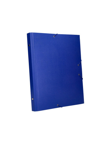 CARPETA CLASIF.A C.FORRADO SOLAPA AZUL 12 DEPARTAMENTOS