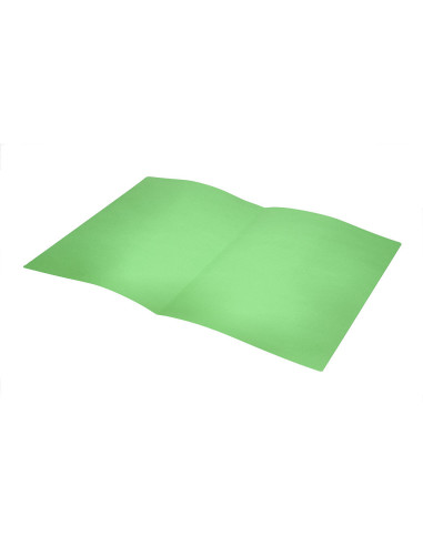 SUBCARPETA FL 180 GR. LIDERPAPEL VERDE INTENSO