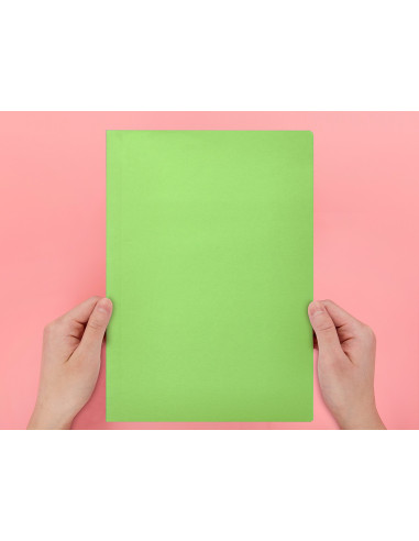 SUBCARPETA A4 180 GR. LIDERPAPEL VERDE INTENSO C/50