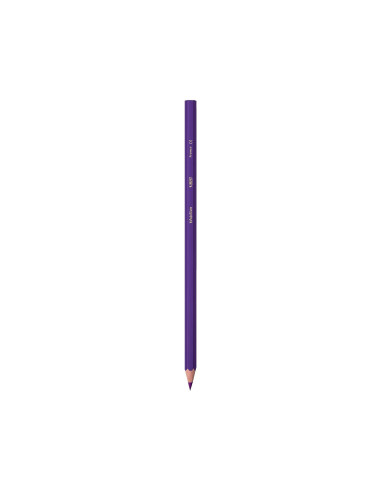 LAPICES COL.BIC KID EVOLUTION ESTUCHE 12 COL.SURT. MINA ULTRA