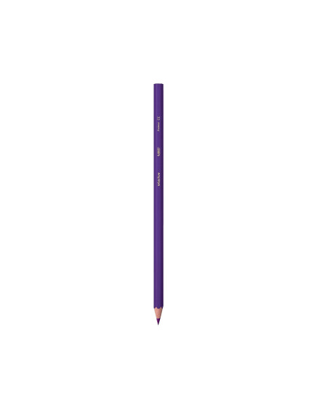 LAPICES COL.BIC KID EVOLUTION ESTUCHE 12 COL.SURT. MINA ULTRA