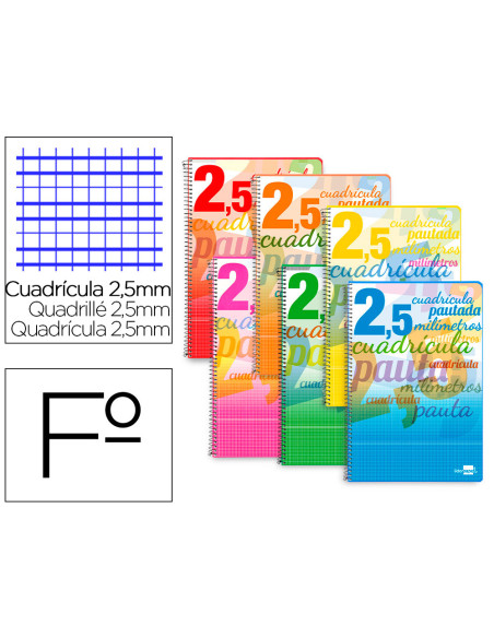 CUADERNO ESP. LIDERPAPEL FL. T.CARTON PAUTA 2.5MM 80H. 70GR.COL.SURT.