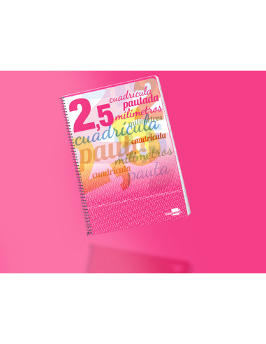 CUADERNO ESP. LIDERPAPEL FL. T.CARTON PAUTA 2.5MM 80H. 70GR.COL.SURT.