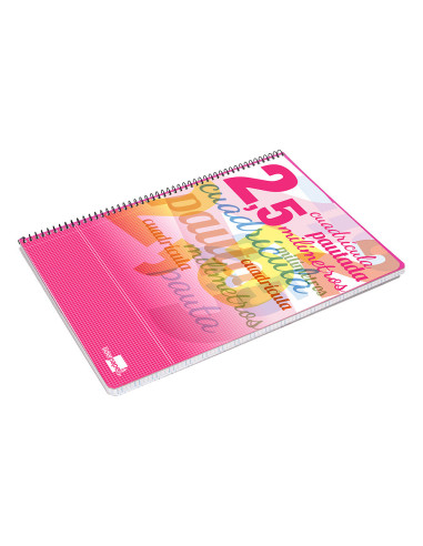 CUADERNO ESP. LIDERPAPEL FL. T.CARTON PAUTA 2.5MM 80H. 70GR.COL.SURT.