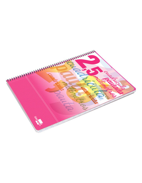 CUADERNO ESP. LIDERPAPEL FL. T.CARTON PAUTA 2.5MM 80H. 70GR.COL.SURT.